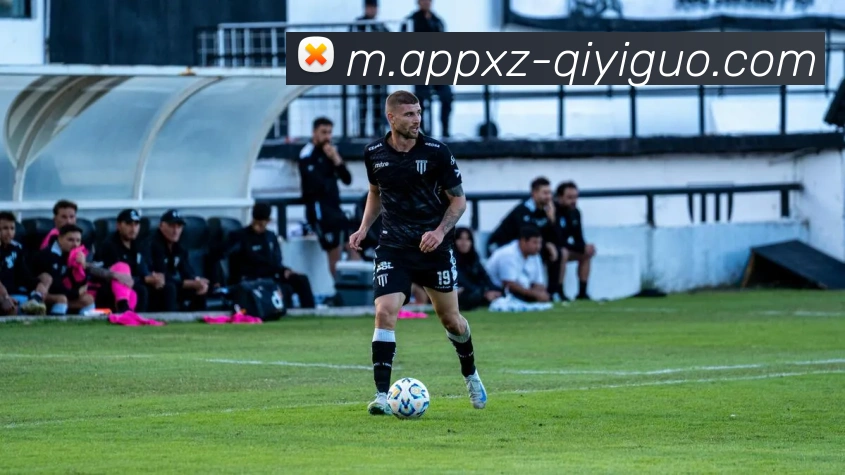 奇异果体育平台生态图